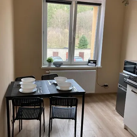 Apartament Gorski Szczytna Exterior photo