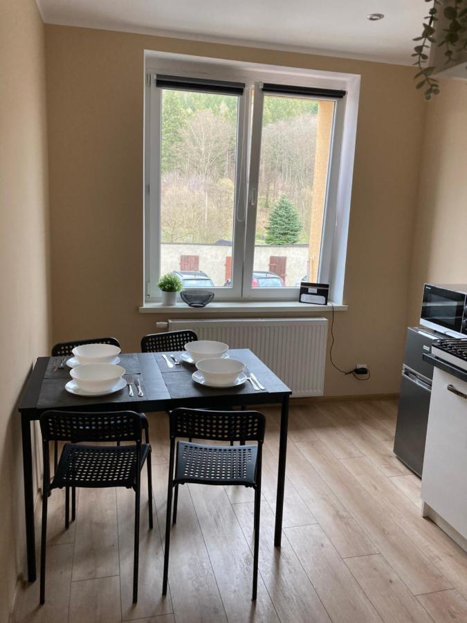 Gorski Apartment Szczytna