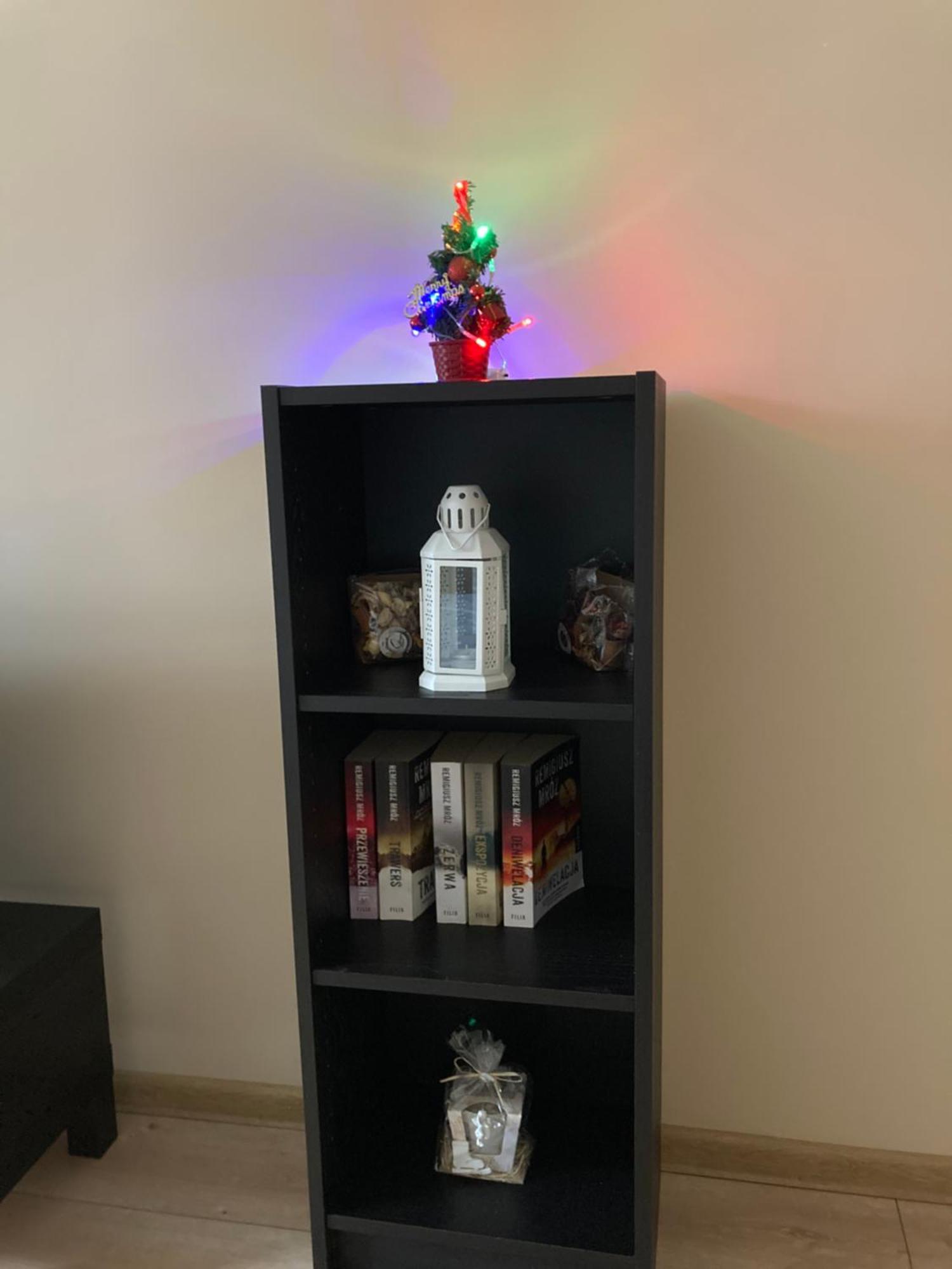 Apartment Gorski *